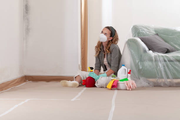 Reliable Mold Remediation contractor in Camas, WA by 24 Hour Mold Removal